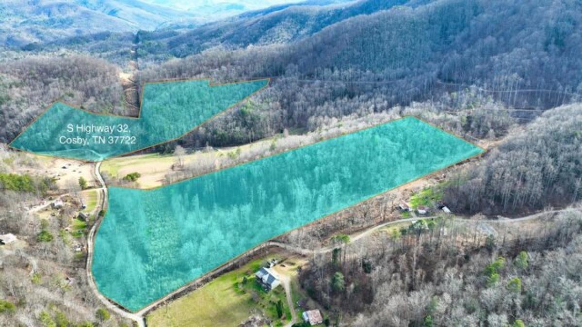 Picture of Residential Land For Sale in Cosby, Tennessee, United States