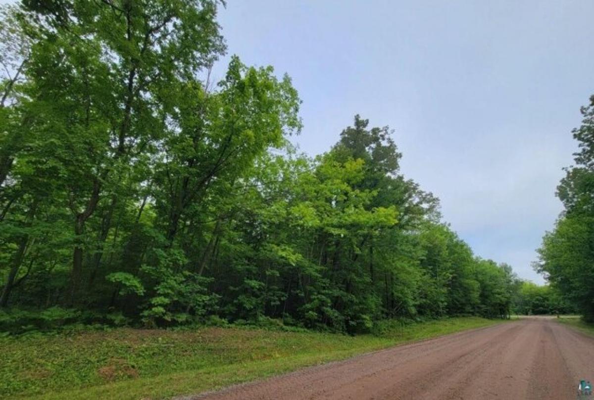 Picture of Residential Land For Sale in Bayfield, Wisconsin, United States