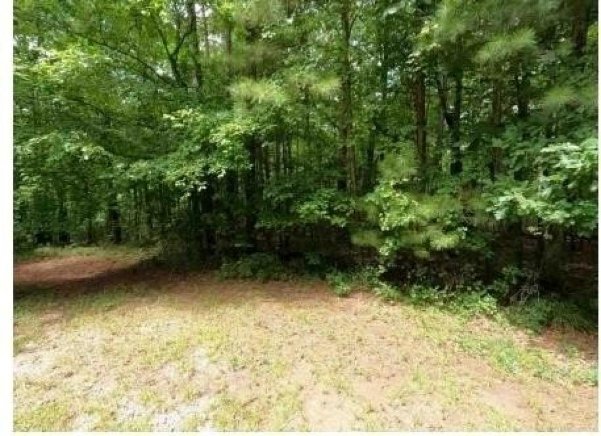 Picture of Residential Land For Sale in Hamilton, Georgia, United States