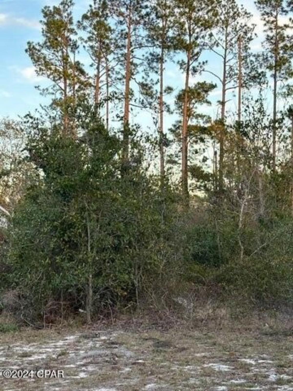 Picture of Residential Land For Sale in Southport, Florida, United States