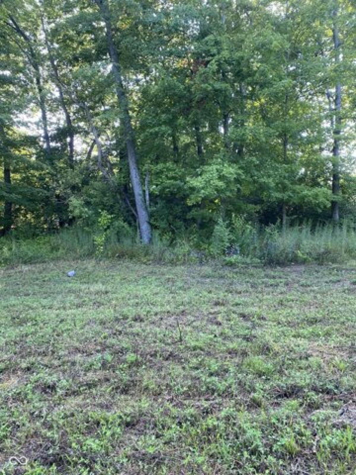 Picture of Residential Land For Sale in Ingalls, Indiana, United States