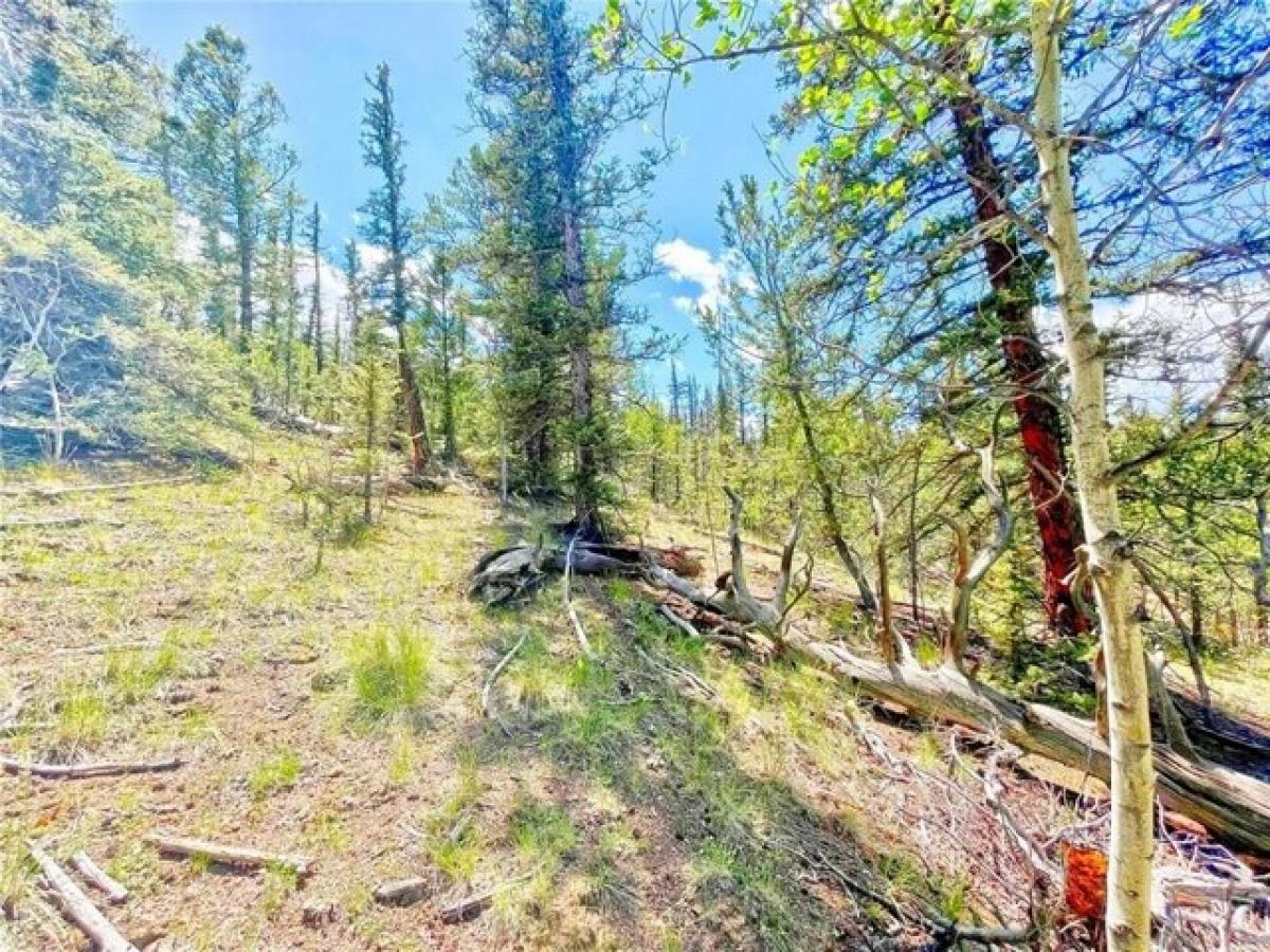 Picture of Residential Land For Sale in Como, Colorado, United States