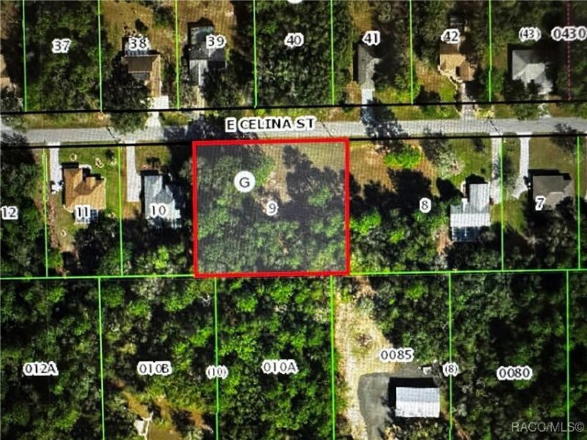 Picture of Residential Land For Sale in Inverness, Florida, United States