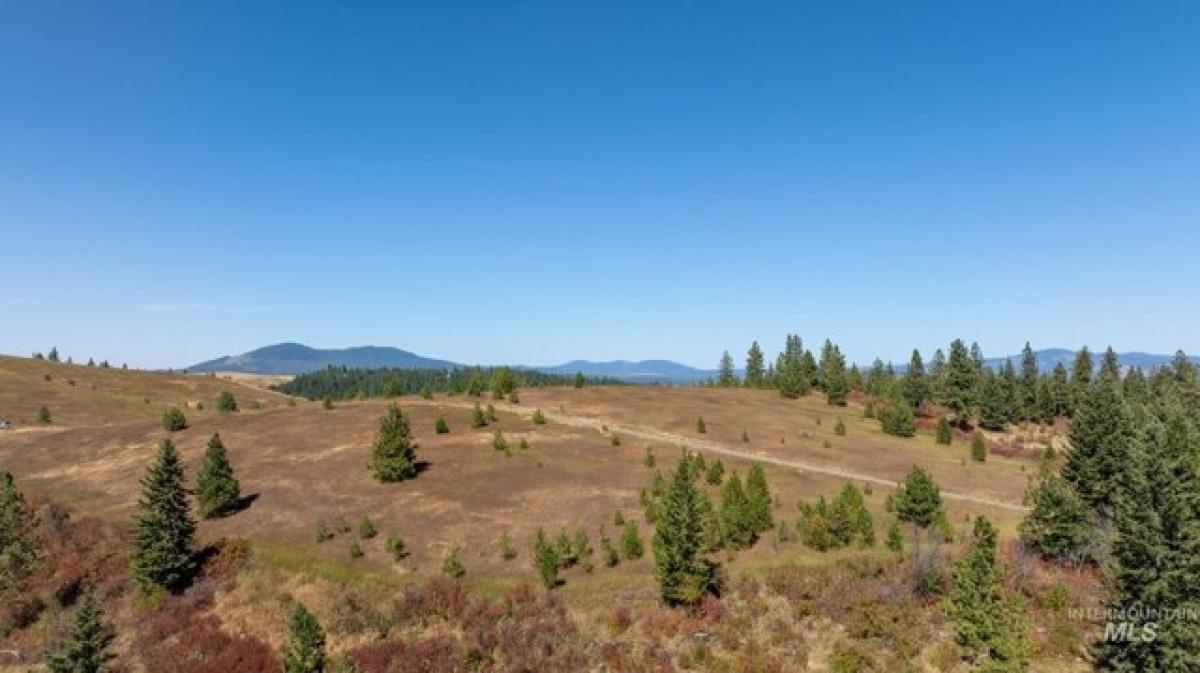 Picture of Residential Land For Sale in Princeton, Idaho, United States