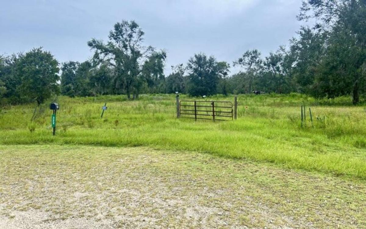 Picture of Residential Land For Sale in Lee, Florida, United States