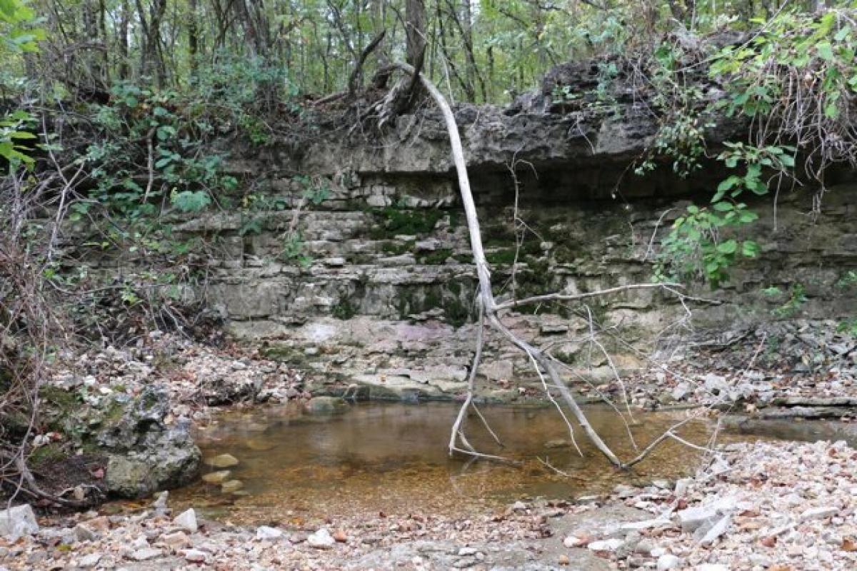 Picture of Residential Land For Sale in Cedarcreek, Missouri, United States