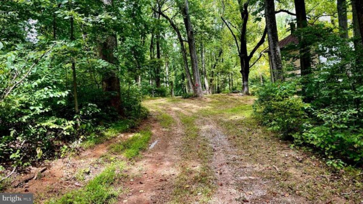 Picture of Residential Land For Sale in Bluemont, Virginia, United States