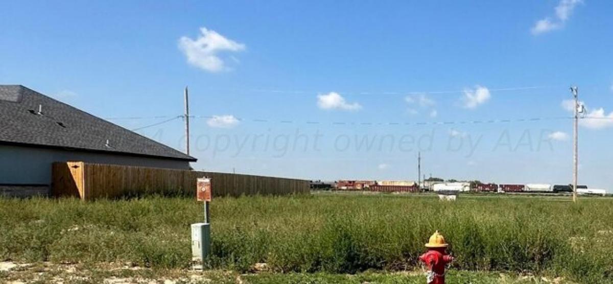 Picture of Residential Land For Sale in Cactus, Texas, United States