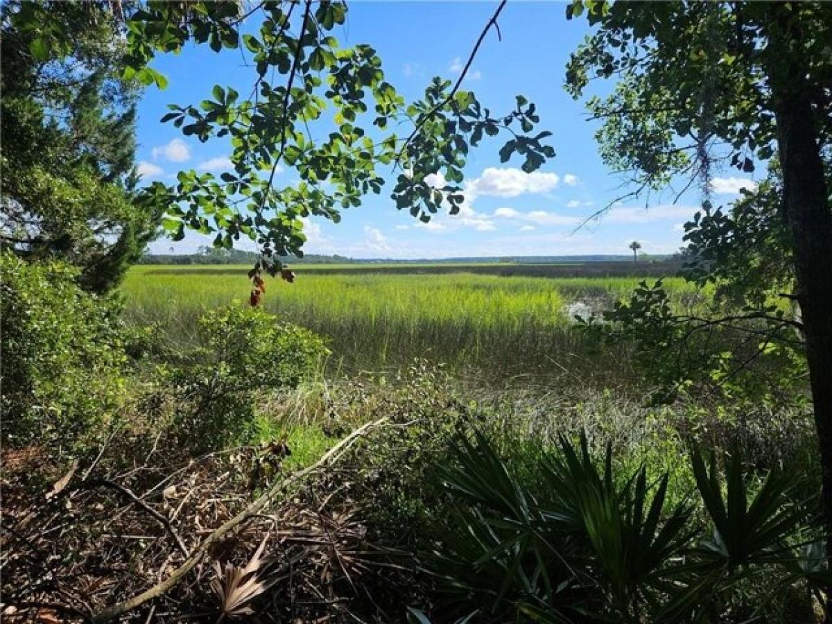 Picture of Residential Land For Sale in Brunswick, Georgia, United States