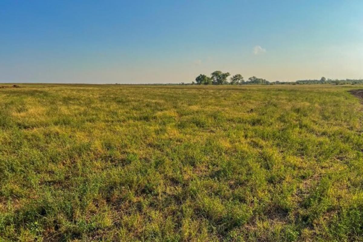 Picture of Residential Land For Sale in Viola, Kansas, United States