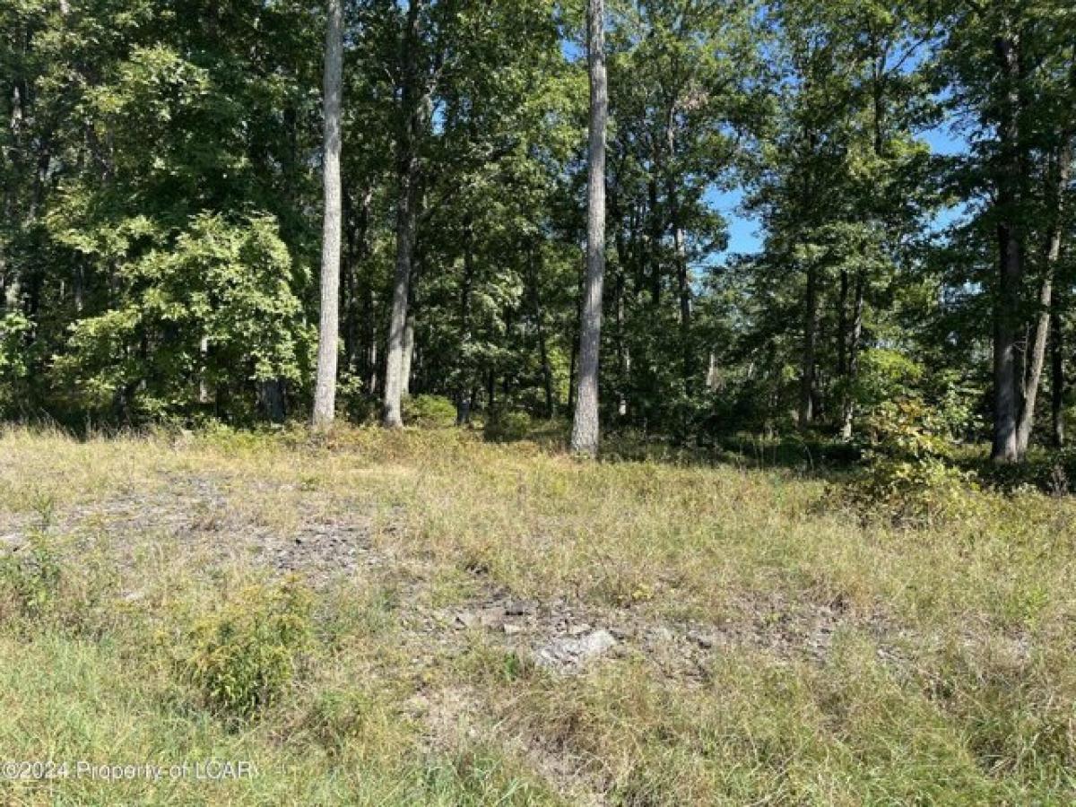 Picture of Residential Land For Sale in Dallas, Pennsylvania, United States