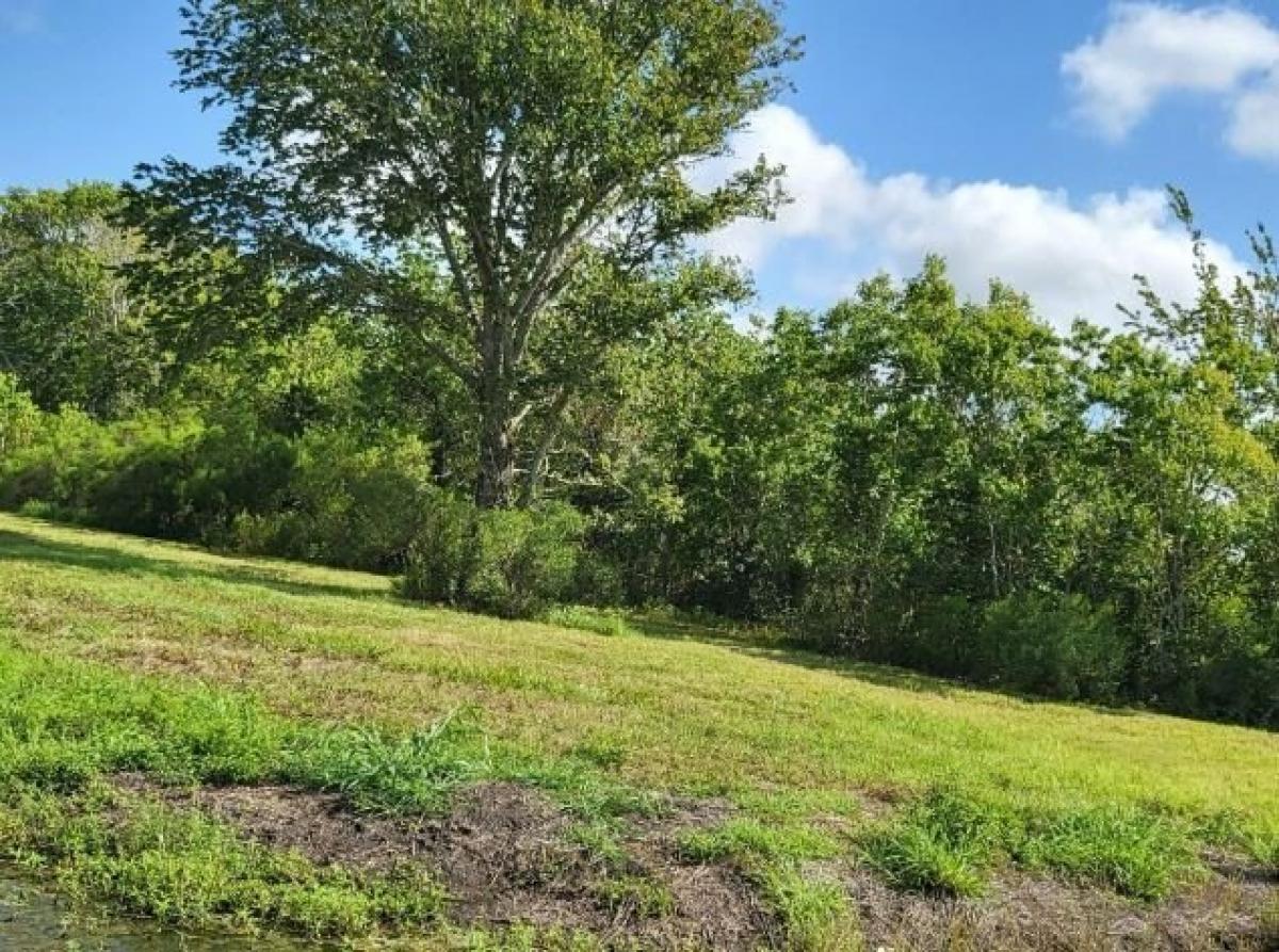 Picture of Residential Land For Sale in Liverpool, Texas, United States