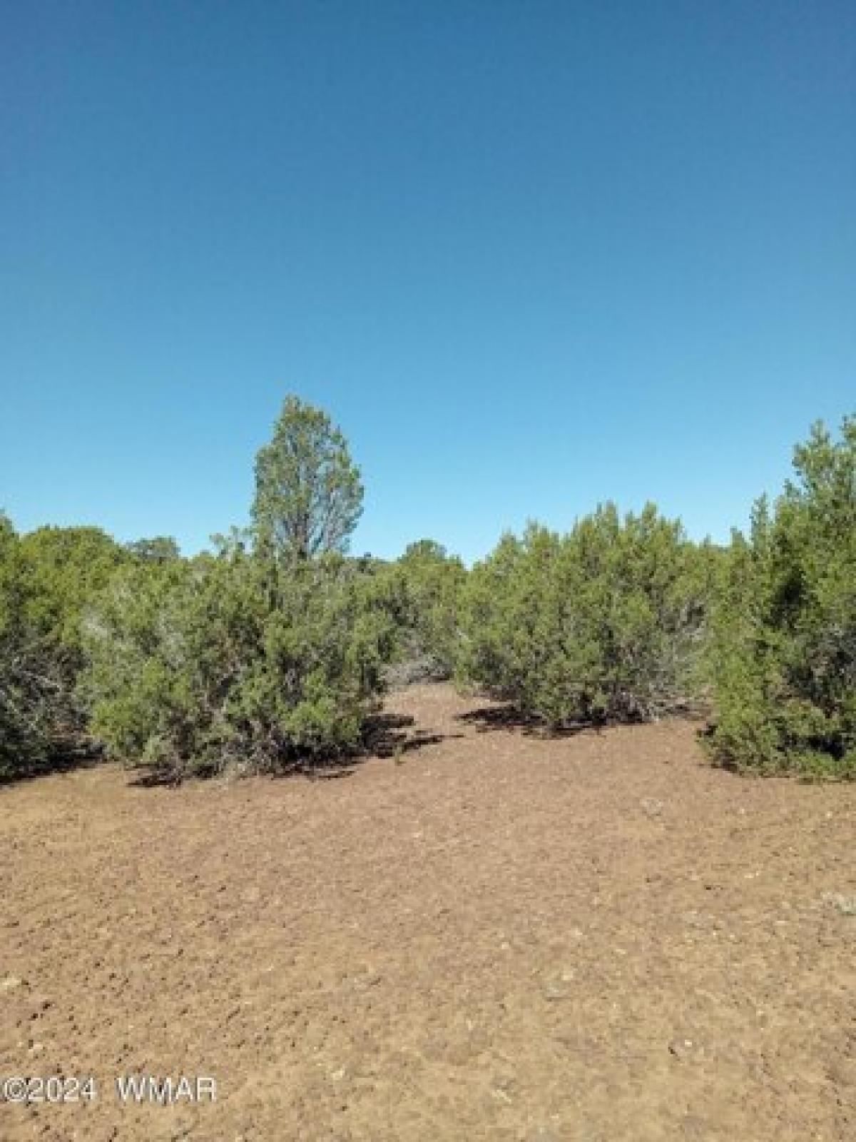 Picture of Residential Land For Sale in Vernon, Arizona, United States