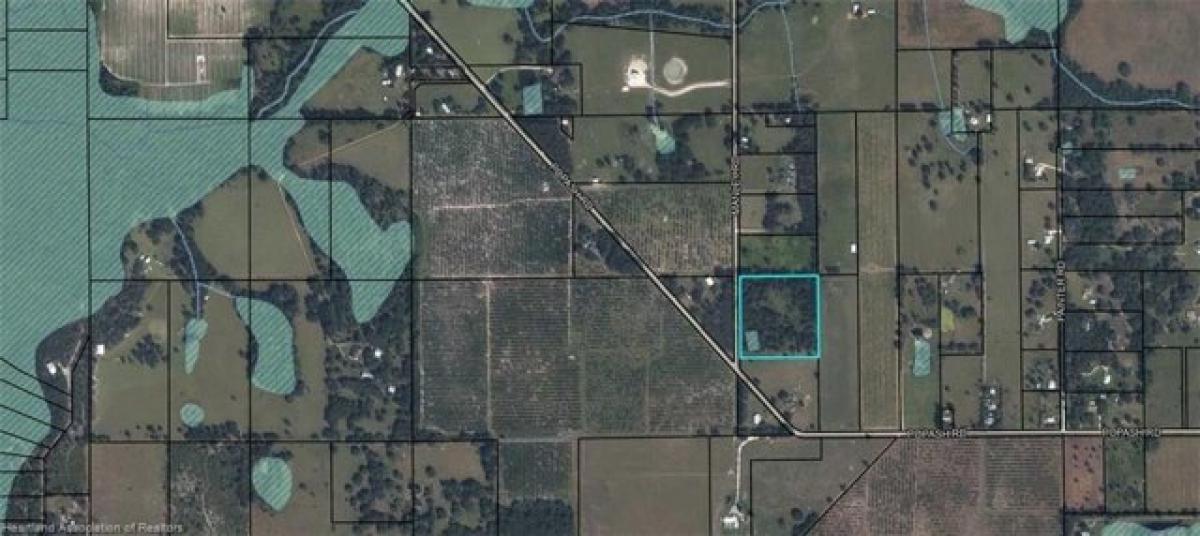 Picture of Residential Land For Sale in Wauchula, Florida, United States