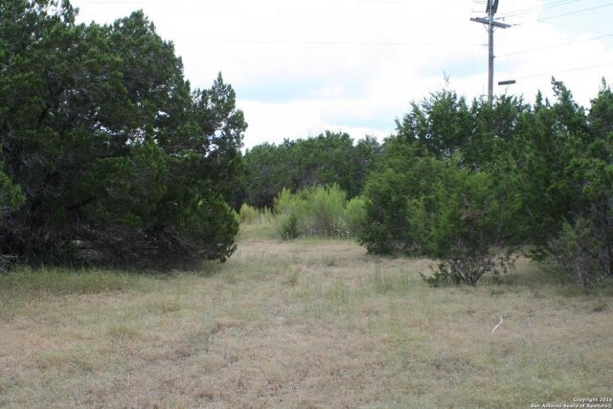 Picture of Residential Land For Sale in Spring Branch, Texas, United States