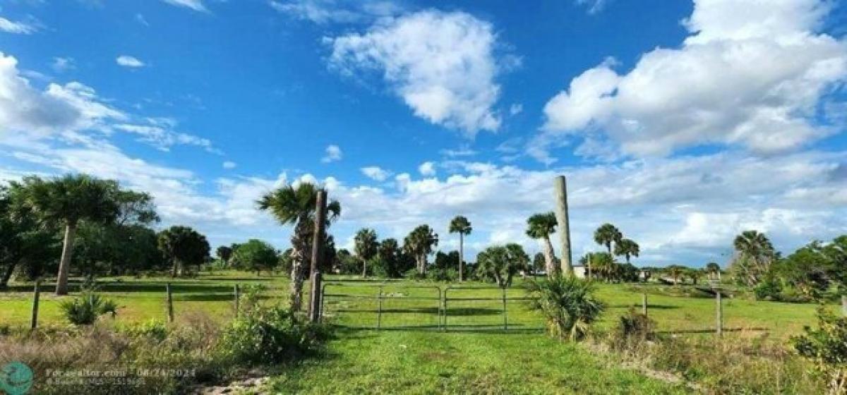 Picture of Residential Land For Sale in Okeechobee, Florida, United States