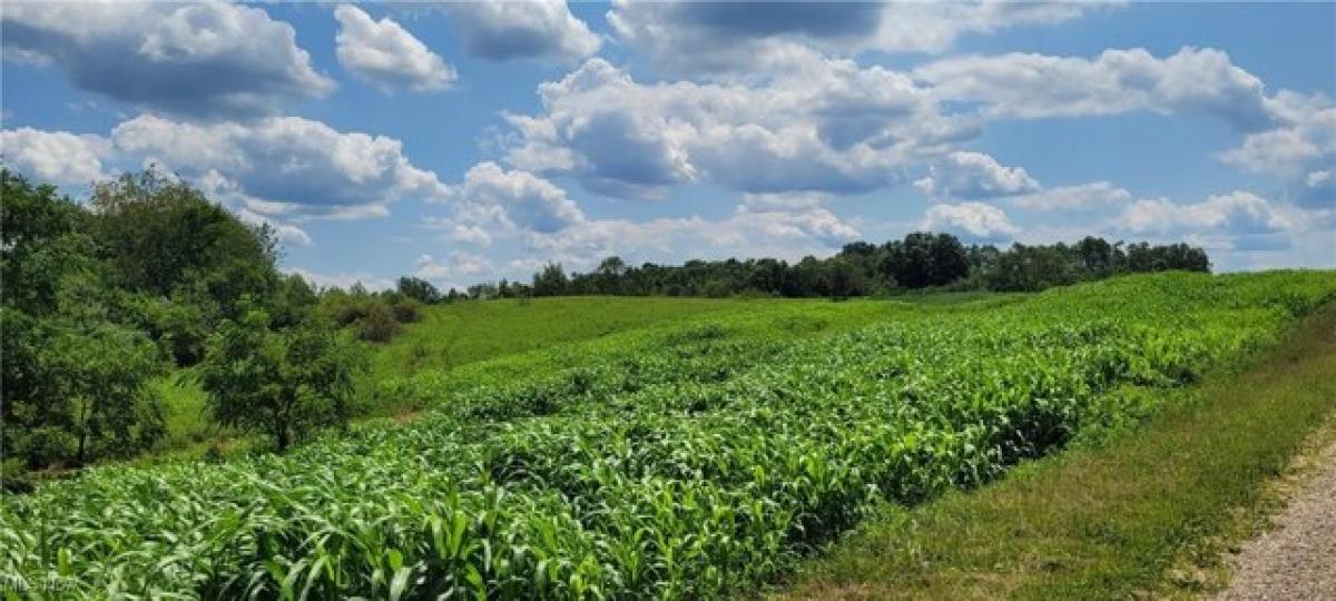 Picture of Residential Land For Rent in Cambridge, Ohio, United States