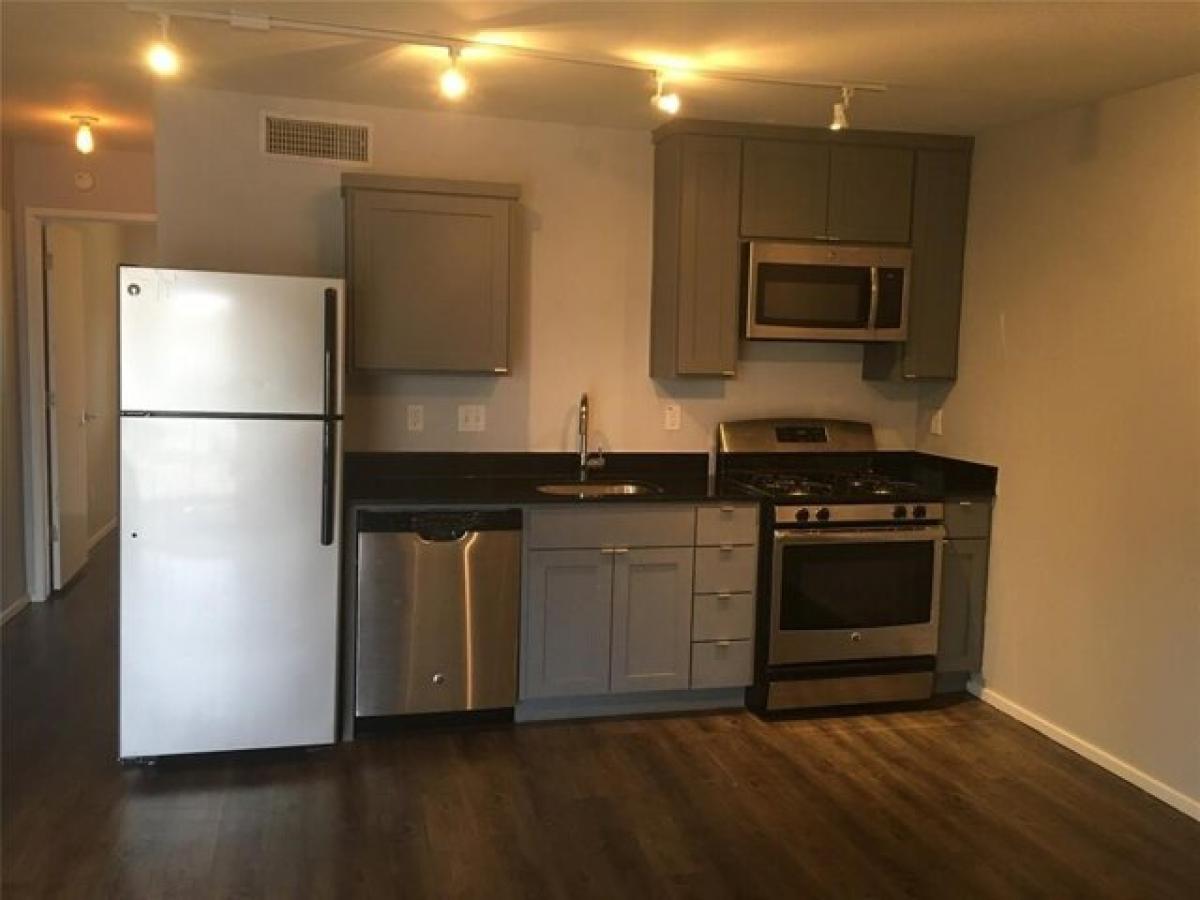 Picture of Apartment For Rent in Austin, Texas, United States