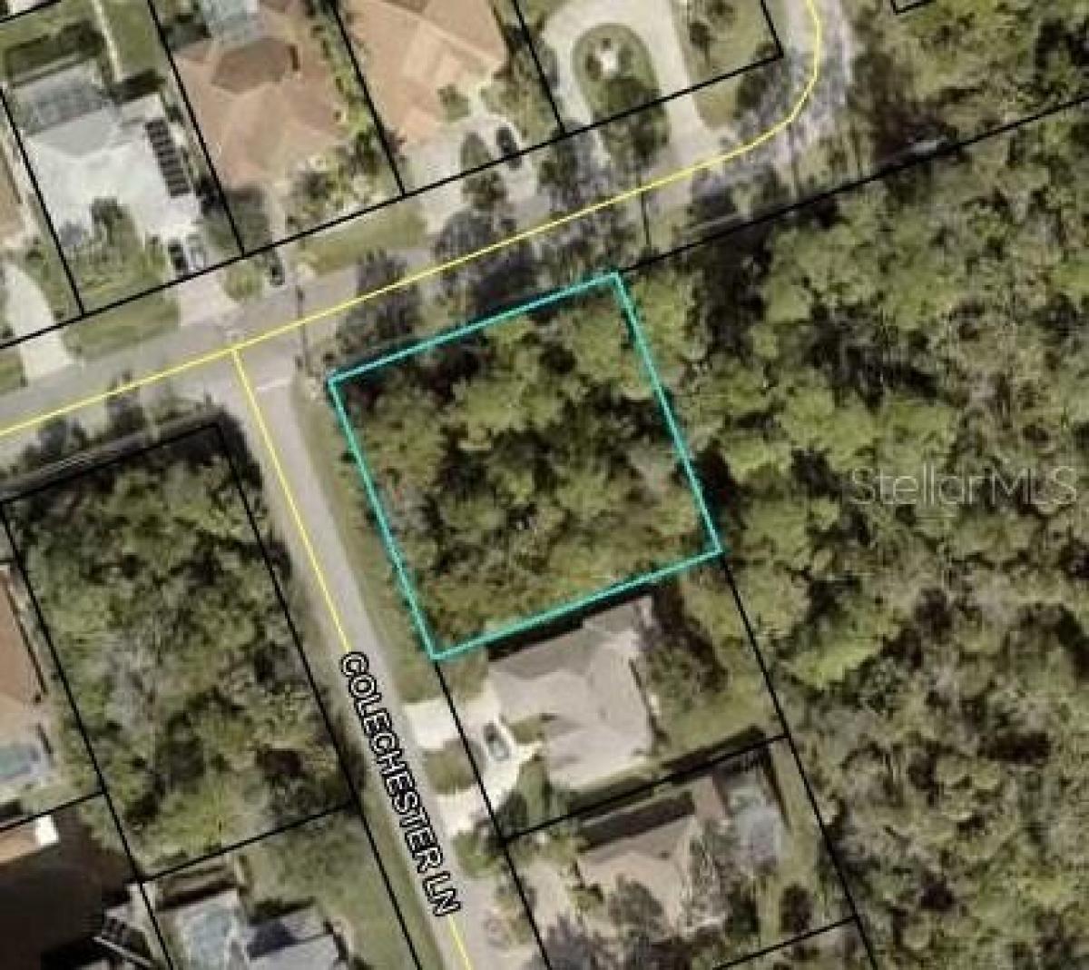 Picture of Residential Land For Sale in Palm Coast, Florida, United States