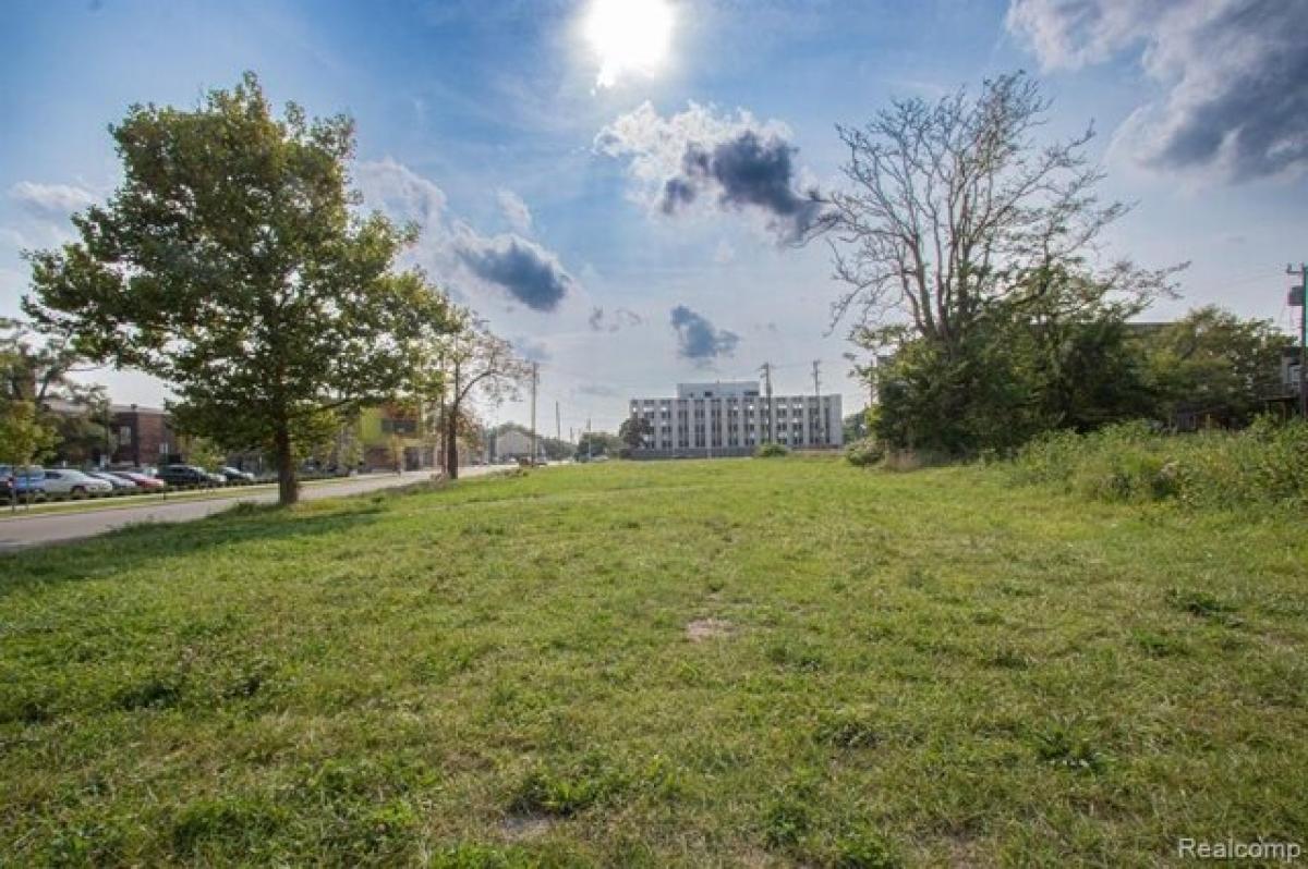 Picture of Residential Land For Sale in Detroit, Michigan, United States