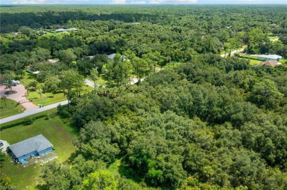 Picture of Residential Land For Sale in Naples, Florida, United States