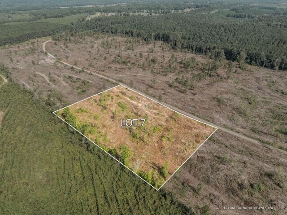 Picture of Residential Land For Sale in Mount Olive, Mississippi, United States