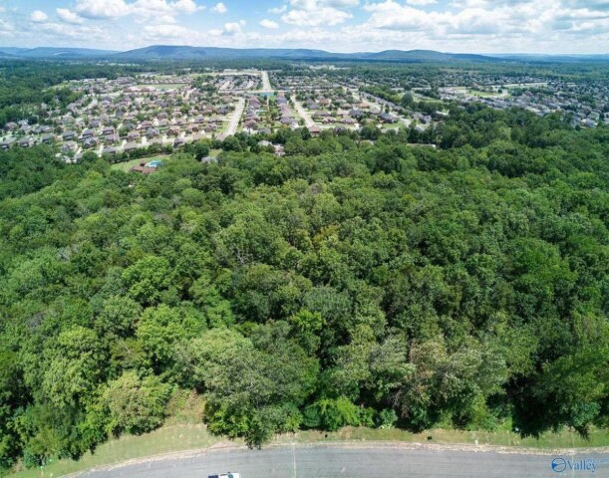 Picture of Residential Land For Sale in Owens Cross Roads, Alabama, United States