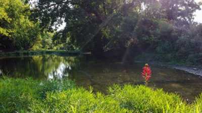 Residential Land For Sale in Weaubleau, Missouri