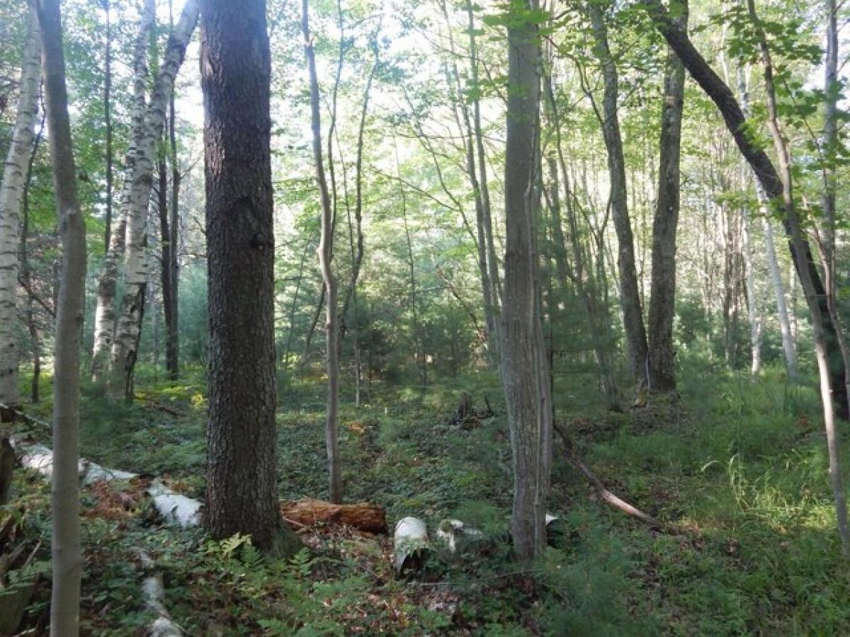 Picture of Residential Land For Sale in Manistee, Michigan, United States