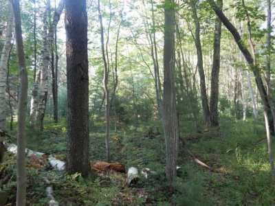 Residential Land For Sale in Manistee, Michigan