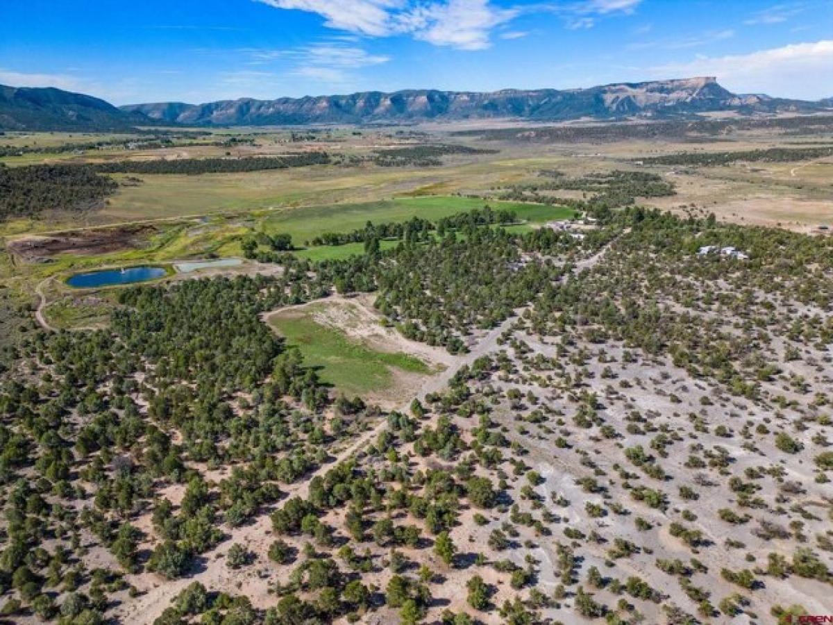 Picture of Residential Land For Sale in Mancos, Colorado, United States