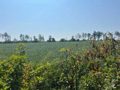 Residential Land For Sale in 