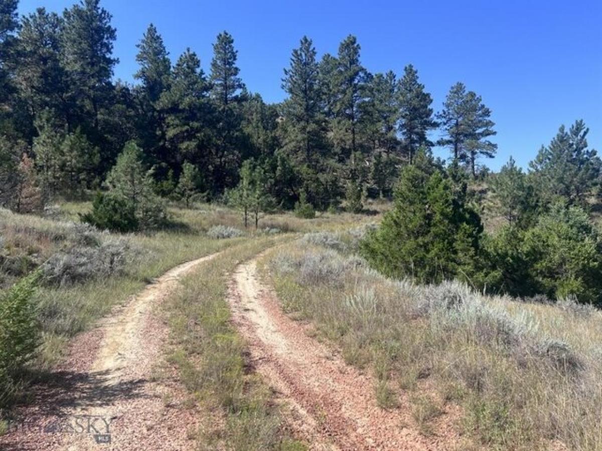 Picture of Residential Land For Sale in Miles City, Montana, United States