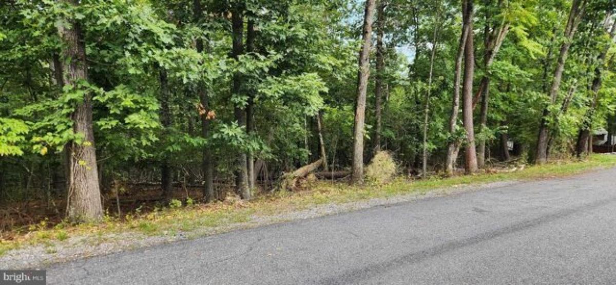 Picture of Residential Land For Sale in Cross Junction, Virginia, United States