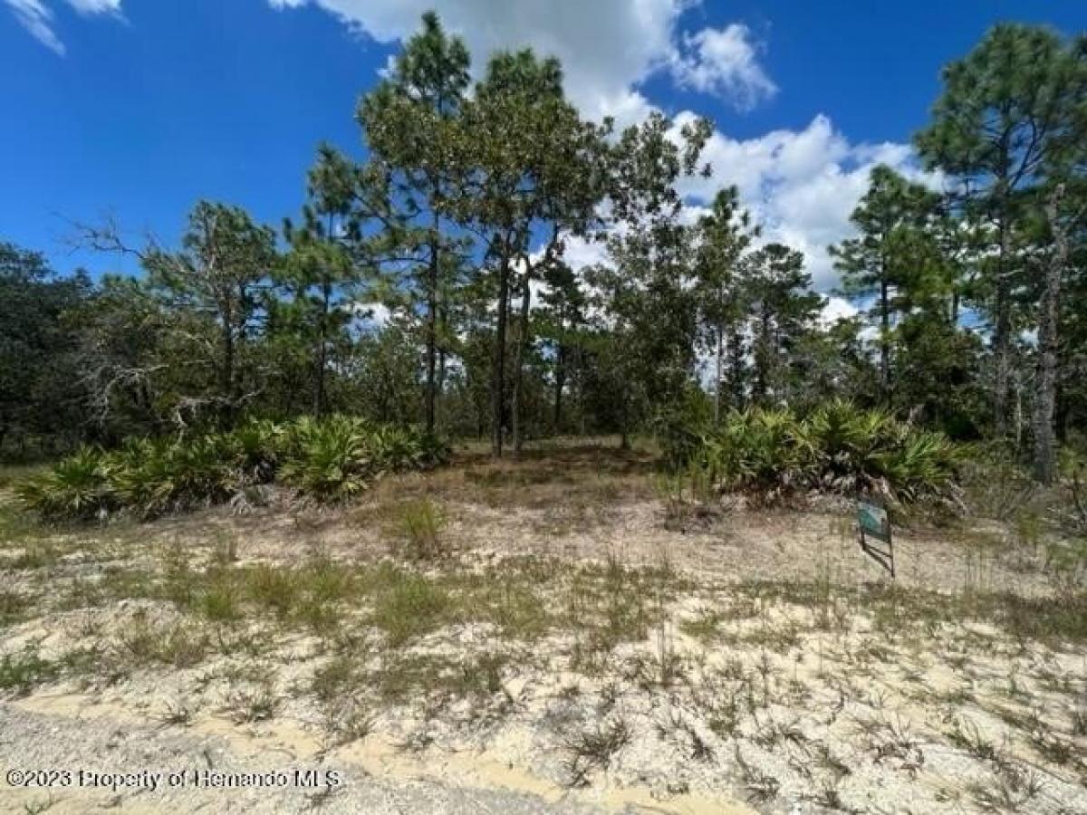 Picture of Residential Land For Sale in Weeki Wachee, Florida, United States