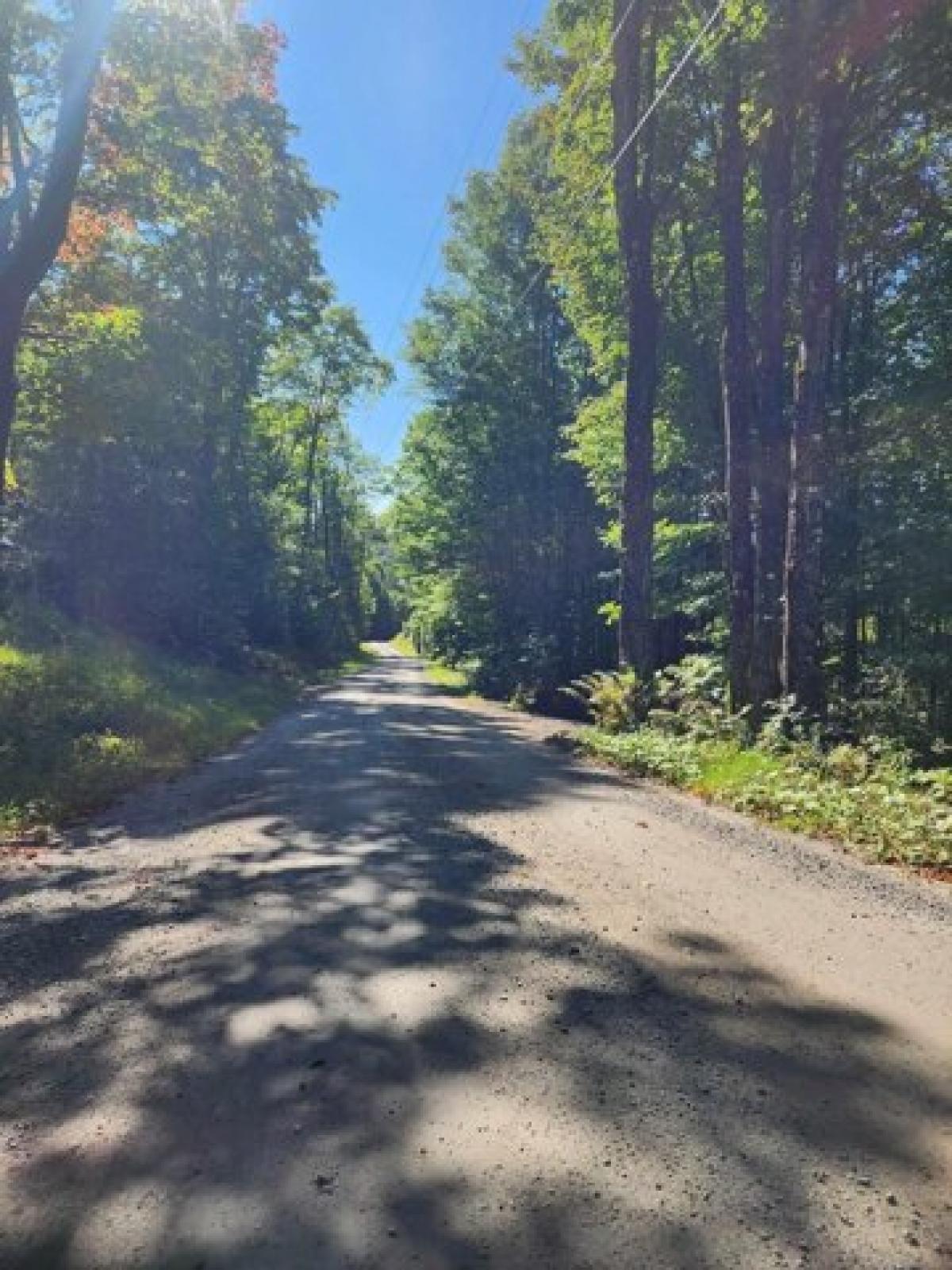 Picture of Residential Land For Sale in Piermont, New Hampshire, United States