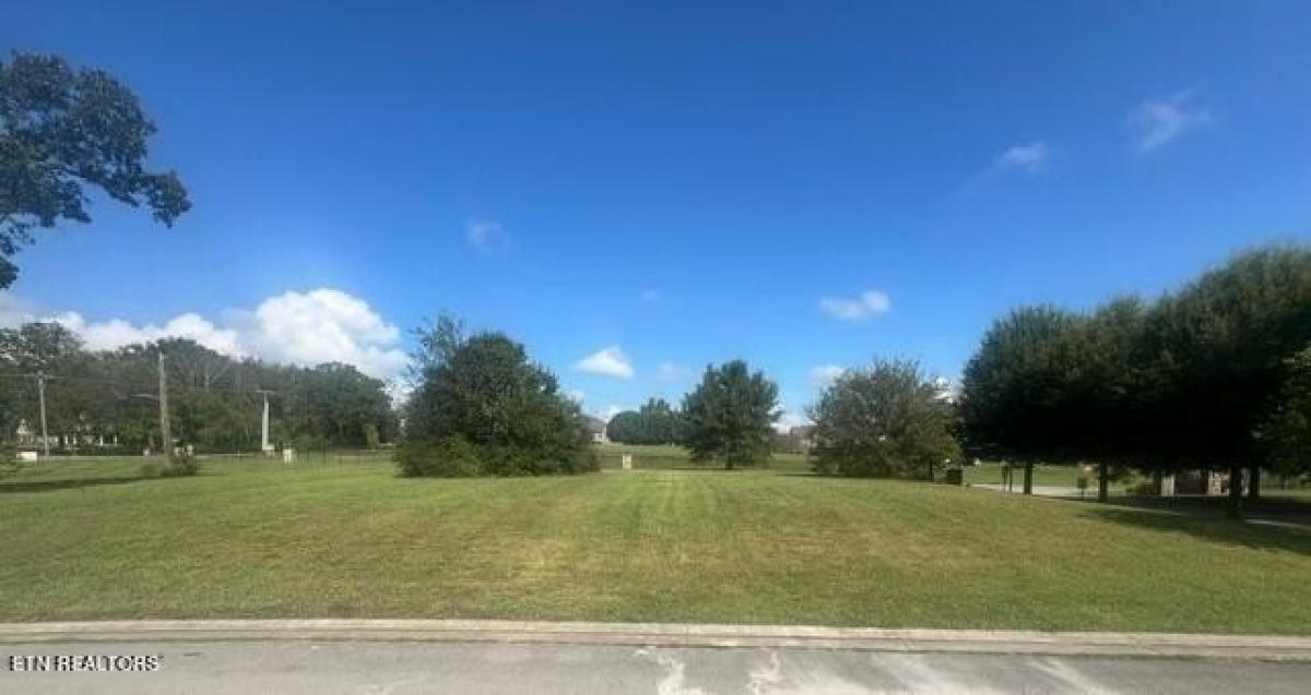 Picture of Residential Land For Sale in Maryville, Tennessee, United States