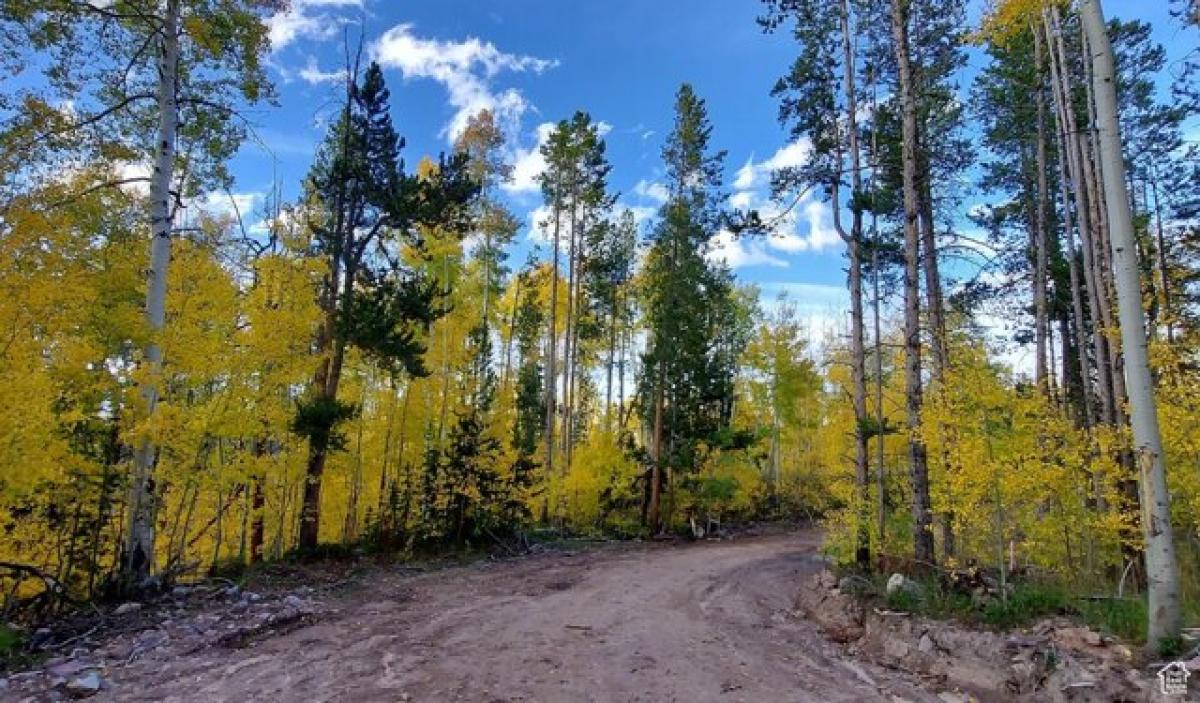 Picture of Residential Land For Sale in Kamas, Utah, United States