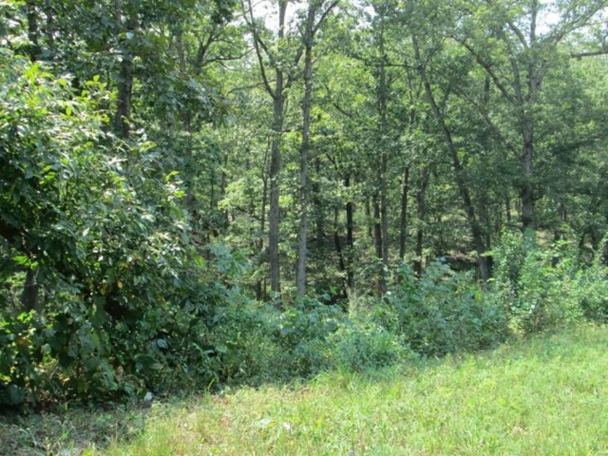 Picture of Residential Land For Sale in Saint Clair, Missouri, United States