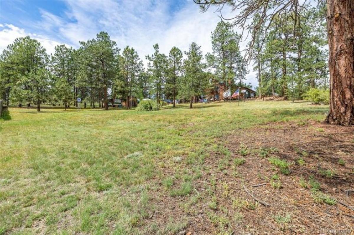 Picture of Home For Sale in Pine, Colorado, United States