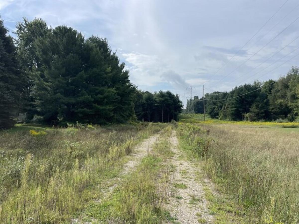 Picture of Residential Land For Sale in Comstock Park, Michigan, United States