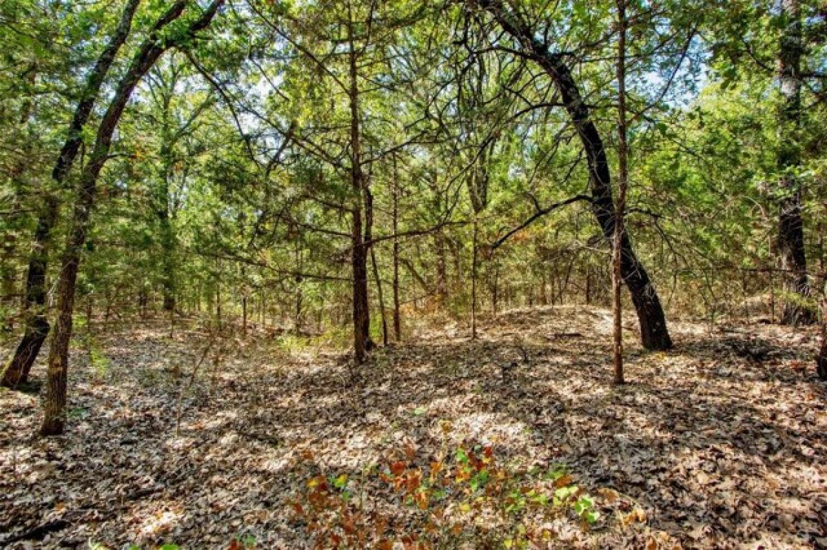 Picture of Residential Land For Sale in Whitesboro, Texas, United States