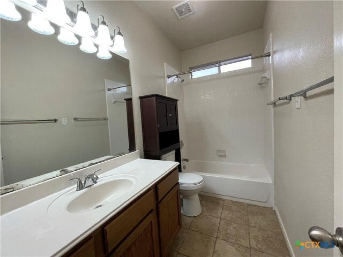 Picture of Home For Rent in New Braunfels, Texas, United States