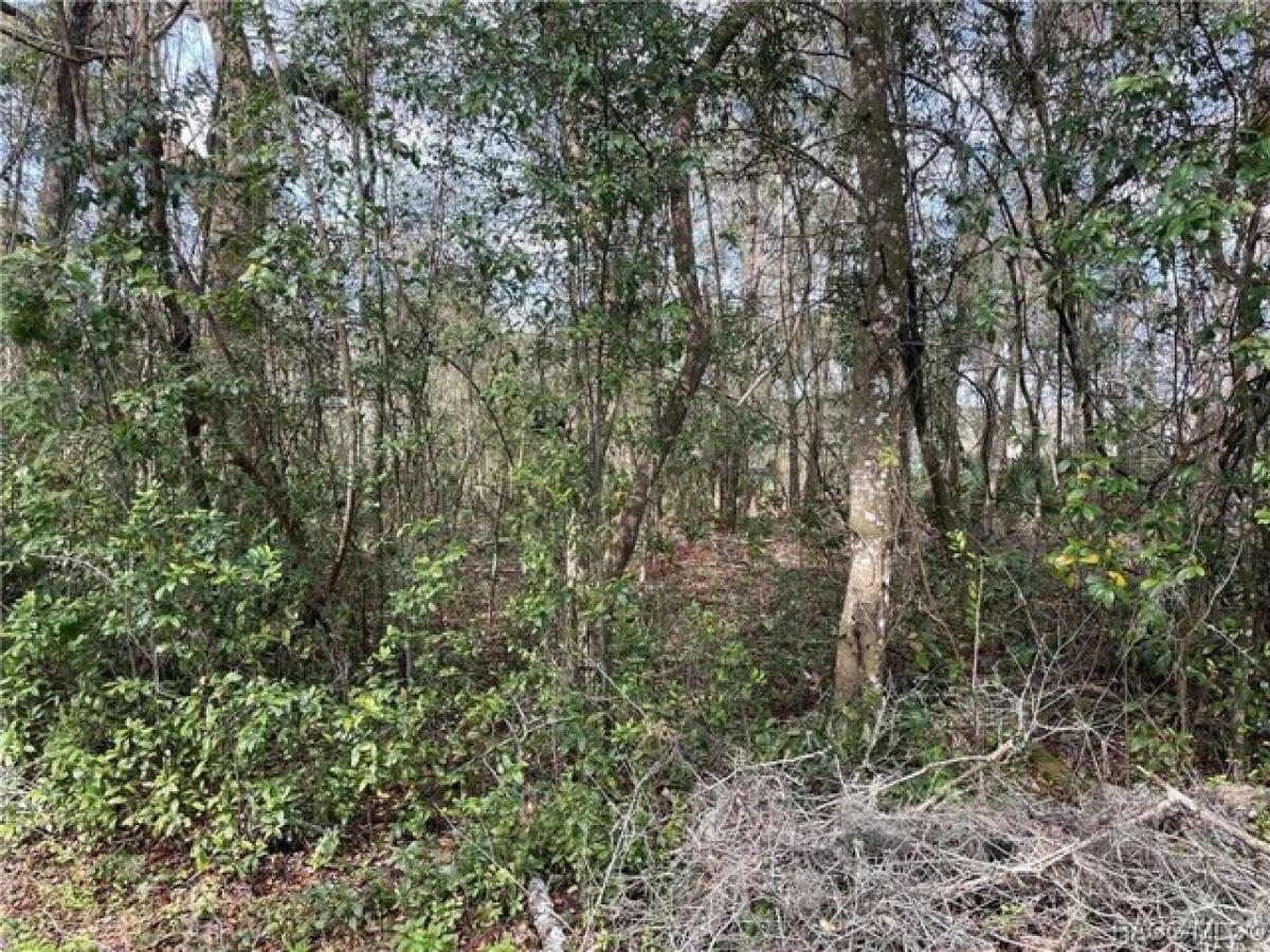 Picture of Residential Land For Sale in Inverness, Florida, United States