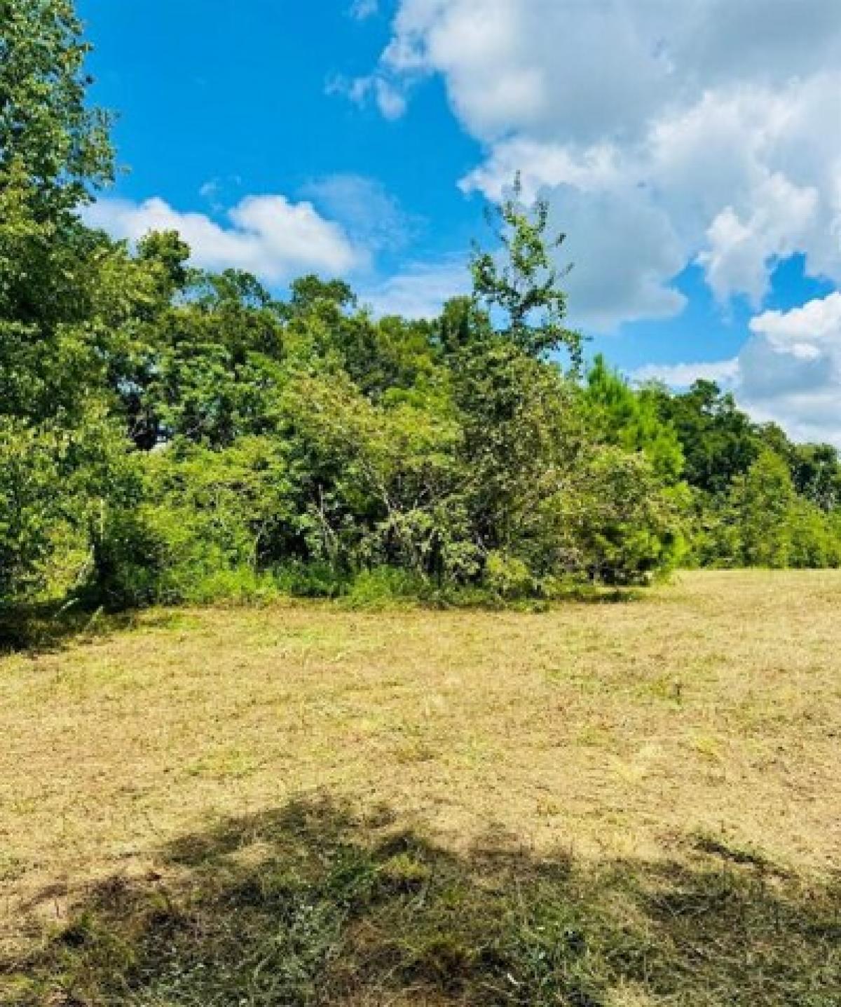 Picture of Residential Land For Sale in Reddick, Florida, United States