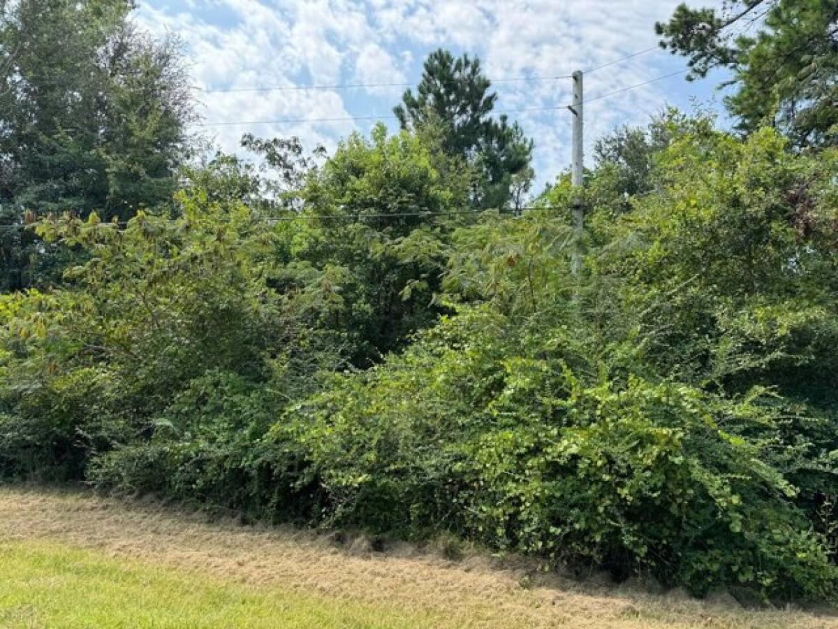 Picture of Residential Land For Rent in Alford, Florida, United States