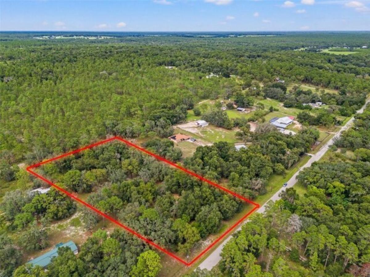 Picture of Residential Land For Sale in Brooksville, Florida, United States