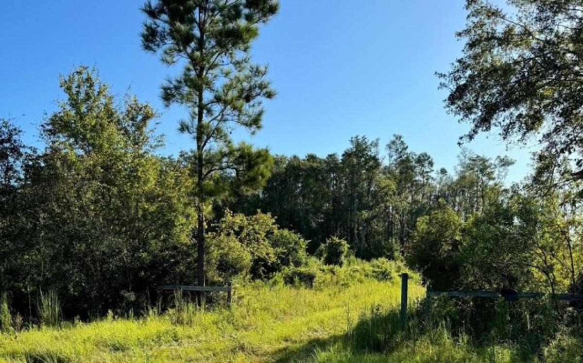 Picture of Residential Land For Sale in Lake City, Florida, United States