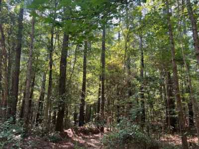 Residential Land For Sale in Little Rock, Mississippi