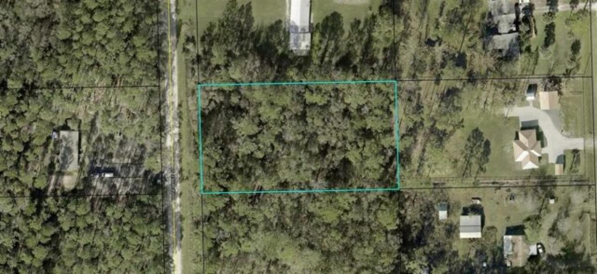 Picture of Residential Land For Sale in Bunnell, Florida, United States